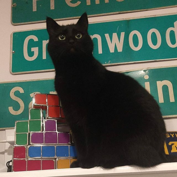 Picture of Ivy