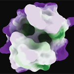 Lightness Constancy in Surface Visualization