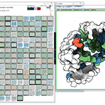 Visualizing Validation of Protein Surface Classifiers